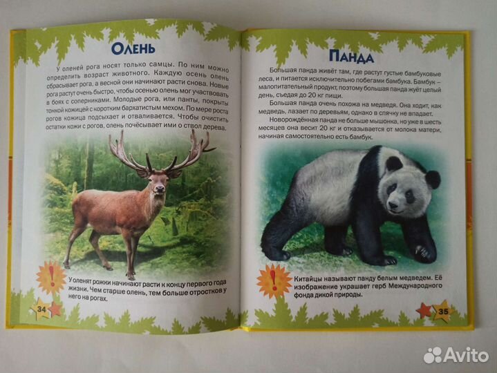 Книги детские, развивающие (новые)