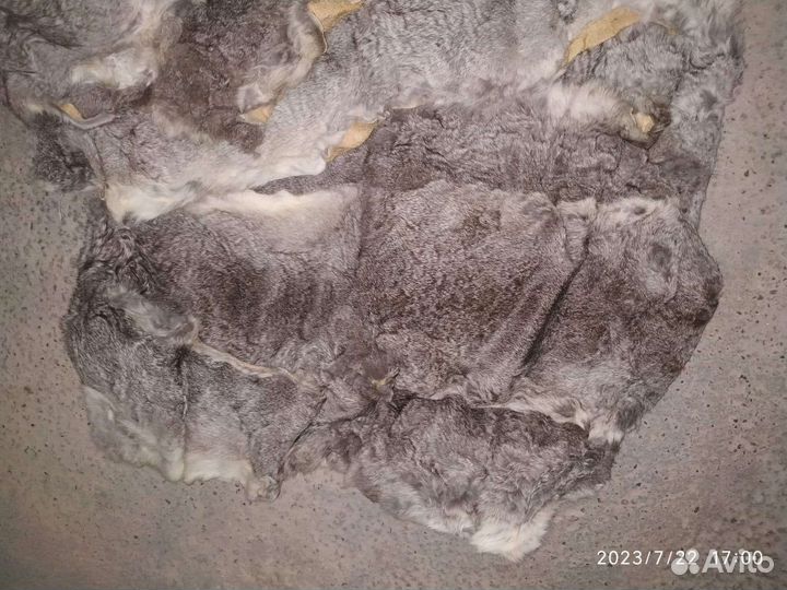 Шкурки кролика отдам