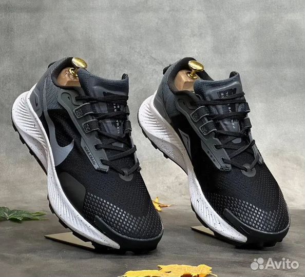 Nike air zoom pegasus (44)