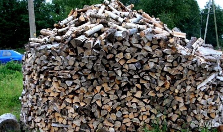 Дрова осина от производителя