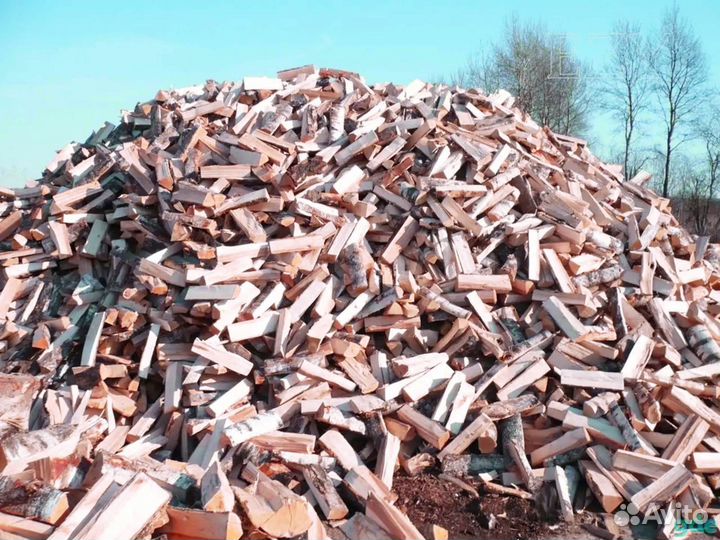Дрова ольховые