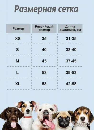 Модный Ошейник для собак LED Разноцветная RGB