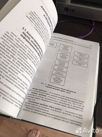 Экономический анализ Любушин 2008