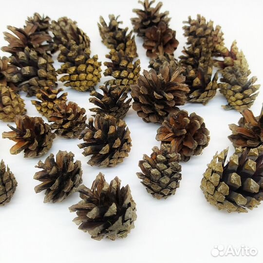 Шишки для поделок