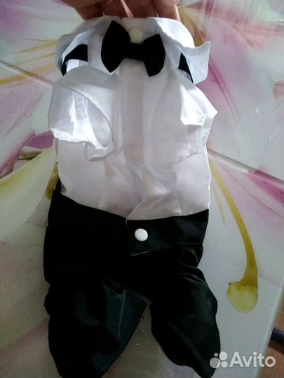 Праздничный костюм для собачки(кошечки