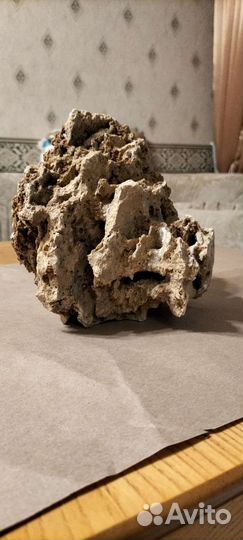 Декор камень песчанник Коряга, Коралл