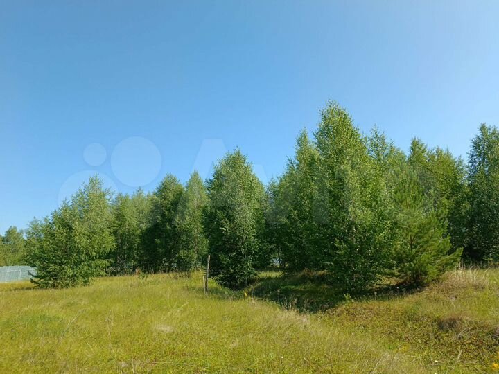 Участок 10 сот. (ИЖС)