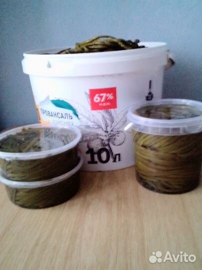 Папоротник Орляк соленый.Кипрей(Иван-чай)