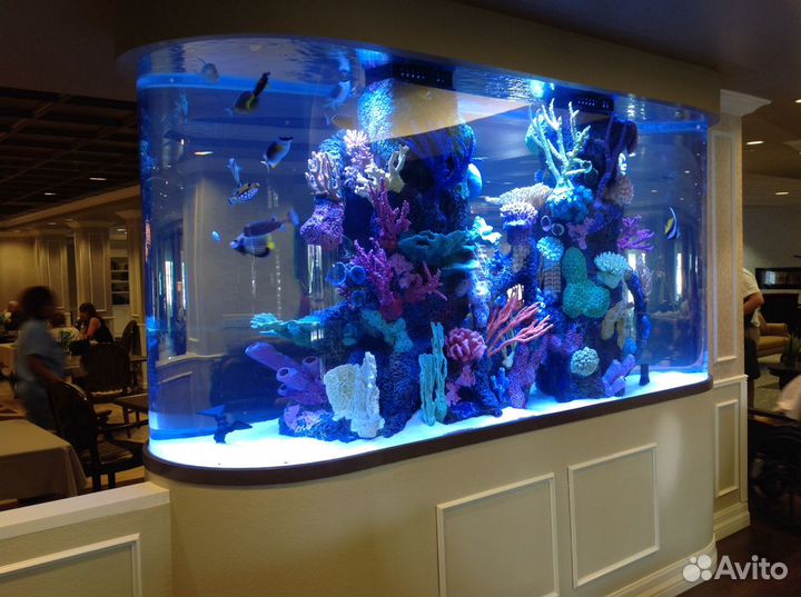 Оформление, обслуживание аквариумов