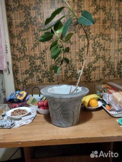 Горшки садовые