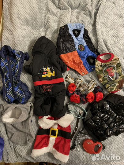 Вещи для маленьких собак