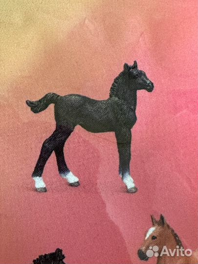 Жеребенок шляйх для Нелли