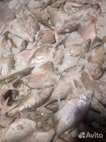 Корма для животных