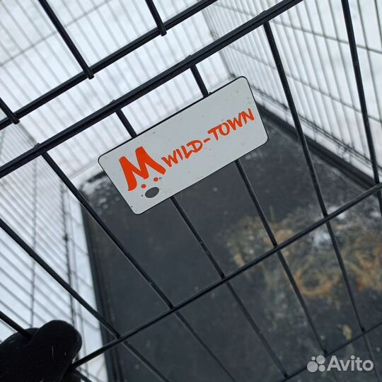 Аренда клетка для собак, кошек, аренда