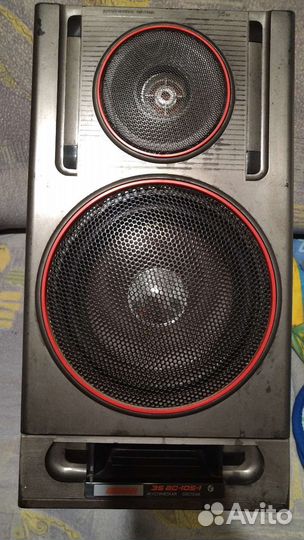 Колонки Вега 35 ас-105-1