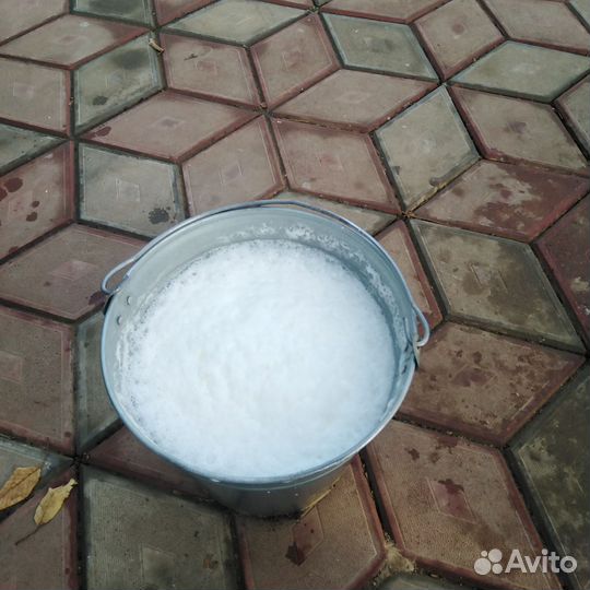 Корова дойная