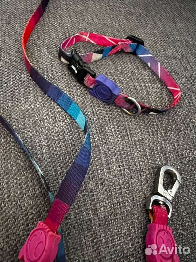 Ошейник и поводок для маленьких пород собак