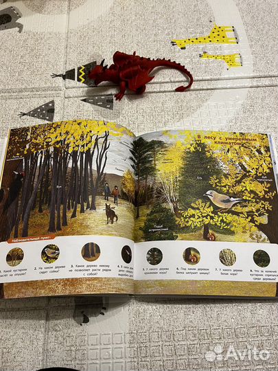 Деревья и кустарники Натали Торджман