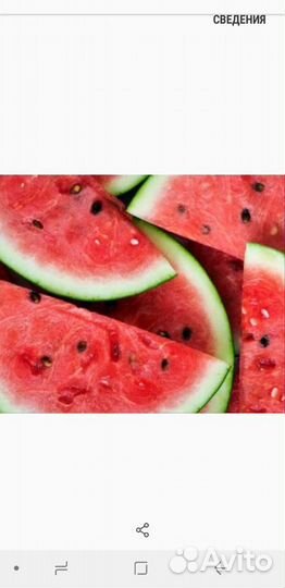 Семена Арбуза