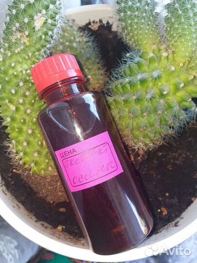 Экстракт осины(антипаразитарка)