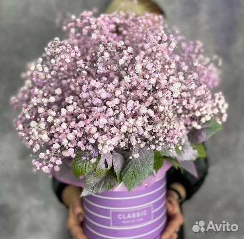 Букет Цветы Гипсофилы