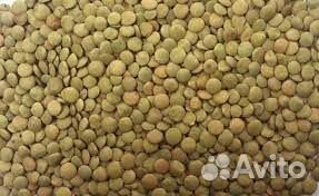 Чечевица Зелёная; Красная; Чёрная Биоорганическая