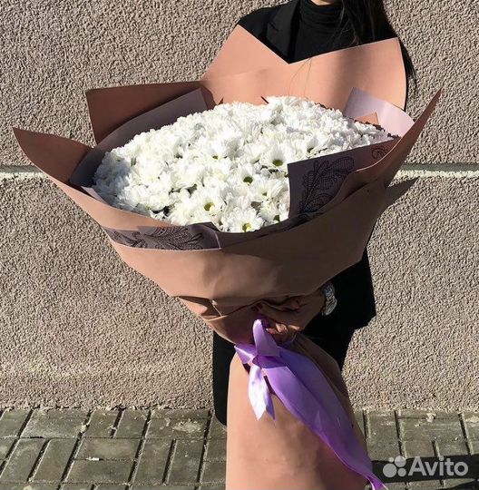Хризантемы ромашки