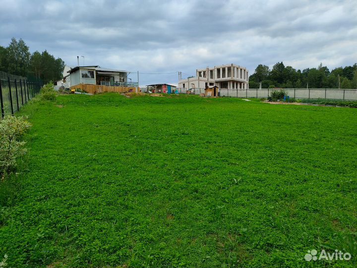 Посев газона