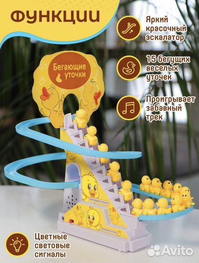 Бегающие уточки