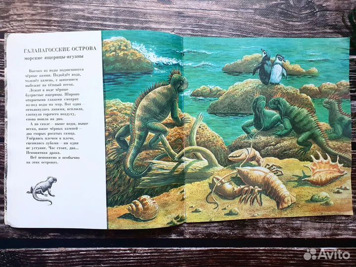 Сахарнов. Заколдованные острова 1975 г