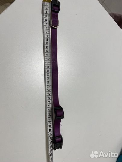 Evolution ошейник