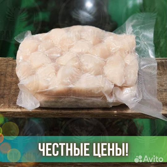 Морской гребешок филе заморозка Морепродукты
