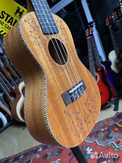 Укулеле концерт Sqoe Комплект