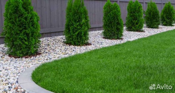 Рулонный газон /продажа/укладка