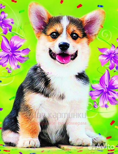 Алмазная мозаика 40x50 Маленький корги
