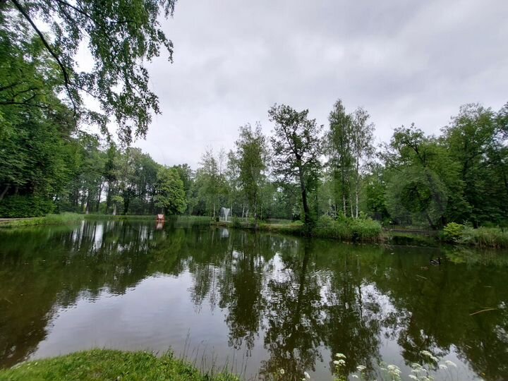 1-к. квартира, 37,2 м², 4/5 эт.