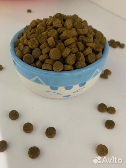 Сухой корм для кошек премиум с доставкой на дом