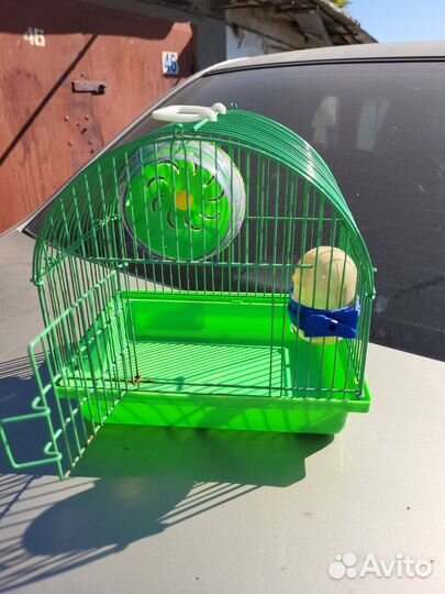 Клетка для грызунов