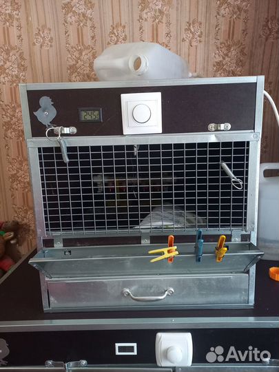 Продаю брудер