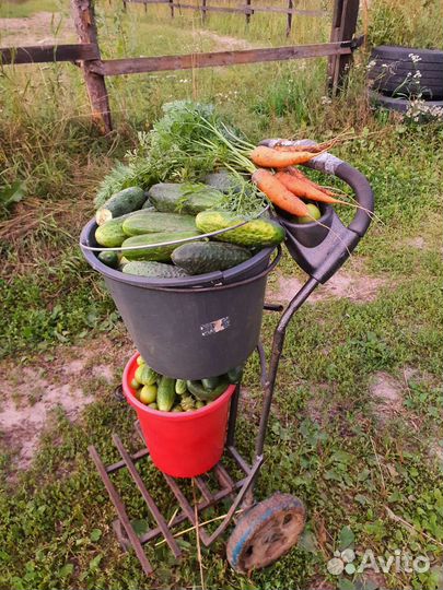 Навоз конский в мешках