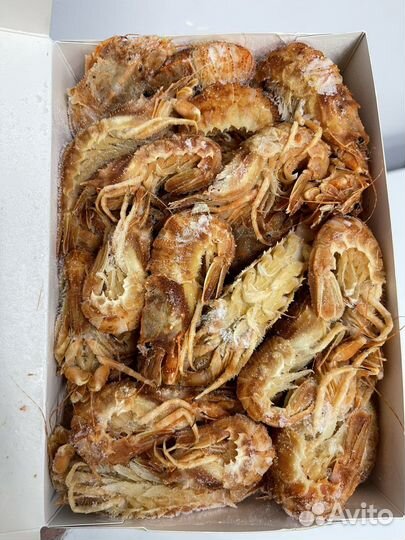 Шримс Медвежонок 30/50