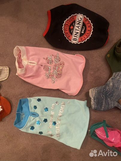 Одежда для маленьких собак