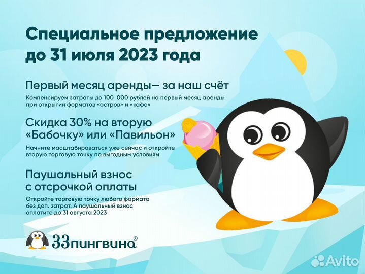 Франшиза киоск - мороженое, напитки «33 пингвина»