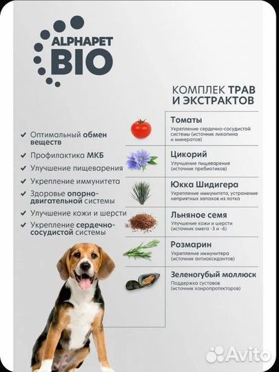 Корм для собак alpha pet
