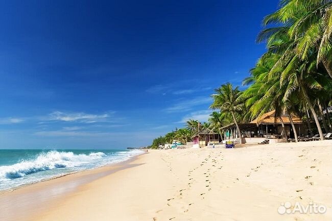 Вьетнам из Астаны прямые рейсы