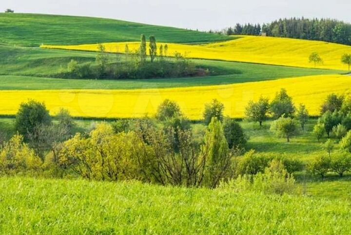 Участок 9 сот. (СНТ, ДНП)