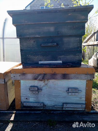 Ульи деревянные б/у, торг