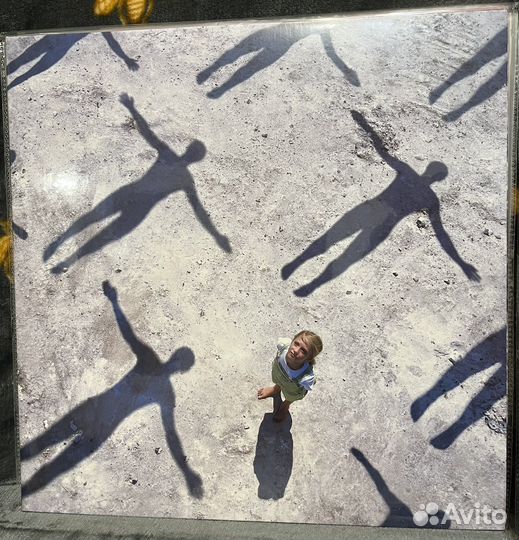 Виниловые пластинки Muse