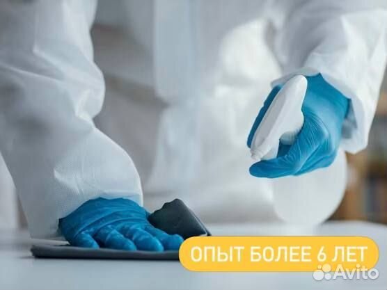 Уничтожение клопов, грызунов и насекомых