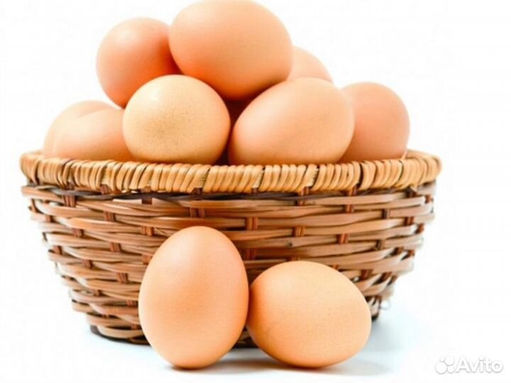 Яйцо куриное